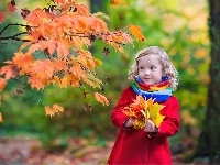 Liście, Jesień, Dziewczynka, Bukiet, Drzewa