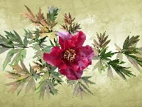 Liście, Kwiat, Piwonia, Grafika 2D