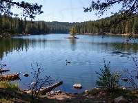 Jezioro, Łódki, Drzewa, Rośliny, Kamienie