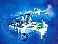 Logo, Windows XP, Pingwiny, Lód