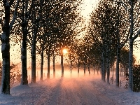 Mgła, Śnieg, Droga, Drzewa, Słońce