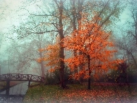 Mgła, Jesień, Rzeka, Mostek, Liście