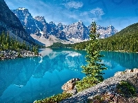 Góry, Prowincja Alberta, Świerki, Kanada, Park Narodowy Banff, Jezioro Moraine