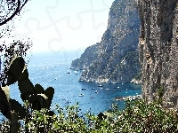 Morze, Wyspa, Capri, Kaktusy