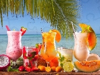 Morze, Palmy, Kolorowe, Drinki, Liście
