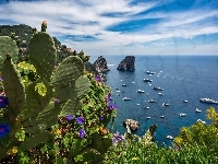 Morze, Włochy, Wybrzeże, Capri, Kaktusy, Skały