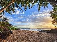 Morze, Palmy, Hawaje, Promienie słońca, Plaża