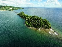 Wyspa, Morze, Palmy