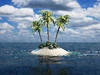 Wyspa, Morze, Palmy
