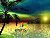 Morze, Windows, Palma, Logo, XP, Skały