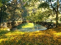Jesień, Most, Drzewa