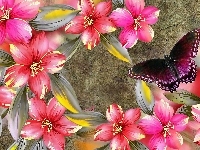 Motyl, Kwiaty, Hibiskus, Art