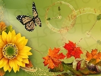 Motyl, Grafika, Słonecznik, Liście, Jesień