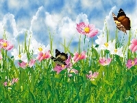 Motyle, Kwiaty, Niebo, Art