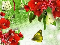 Motyle, Czerwone, Tulipany, Art