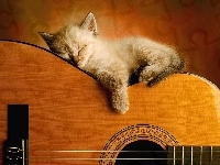 Na, Kotek, Śpiący, Gitarze