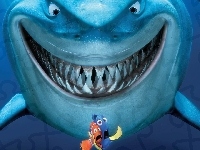 Finding Nemo, Gdzie jest Nemo, Rekin
