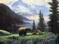 Niedźwiedzie, Góry