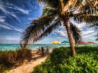 Palmy, Tropiki, HDR, Ocean, Plaża, Parasole, Wakacje