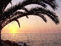 Ocean, Zachod, Słońca, Palma