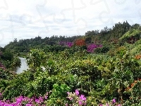Botaniczny, Ogród, Hawaje
