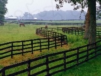 Ogrodzenie, Farma, Pastwisko, Konie