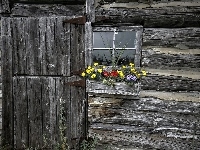 Okno, Drewniany, Dom, Kwiaty