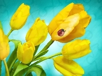 Tulipany, Żółte, Biedronka