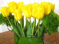 Tulipany, Żółte, Bukiet