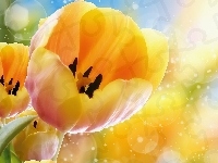 Tulipany, Żółte, Grafika