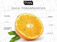 Opis, Pomarańczy