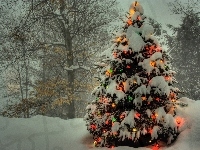 Oświetlona, Drzewa, Śnieg, Choinka