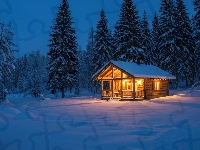 Zima, Oświetlony, Drewniany, Drzewa, Dom