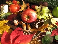 Jesieni, Owoce, Liście
