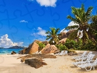 Plaża, Palmy, Kamienie