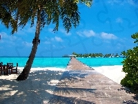 Palmy, Morze, Plaża, Malediwy