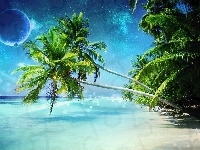 Palmy, Morze, Plaża, Planeta