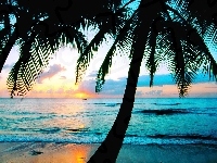 Palmy, Słońca, Morze, Plaża, Zachód