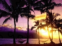 Palmy, Hawaje, Zachód Słońca
