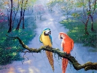 Papugi, Malarstwo, Dwie, Kolorowe, Ara