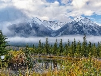 Park Narodowy Banff, Drzewa, Mgła, Jezioro Vermillion, Pasmo Sundance Range, Kanada, Góry, Chmury