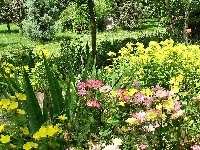 Kolorowe, Park, Kwiaty