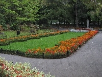 Park, Kwiaty