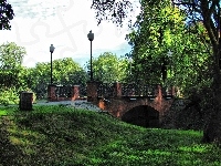 Mostek, Park, Drzewa