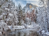 Stan Kalifornia, Las, Góry, Park Narodowy Yosemite, Rzeka Merced River, Stany Zjednoczone, Zima, Drzewa