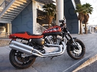 Pas, Harley Davidson XR1200, Napędowy