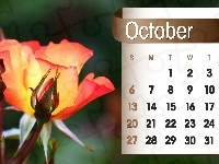 Padziernik, Kalendarz, Re, 2013r