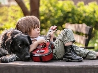 Pies, Chłopiec, Czarny, Gitara