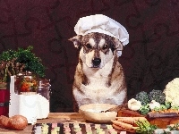 Kucharz, Pies, Warzywa