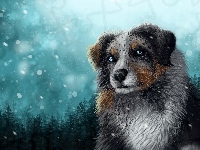 Pies, Grafika 2D, Zima, Owczarek australijski